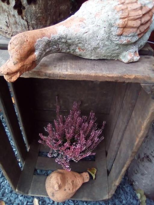 Micro Maison Isba Sedan Givonne Esterno foto