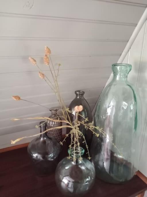 Micro Maison Isba Sedan Givonne Esterno foto